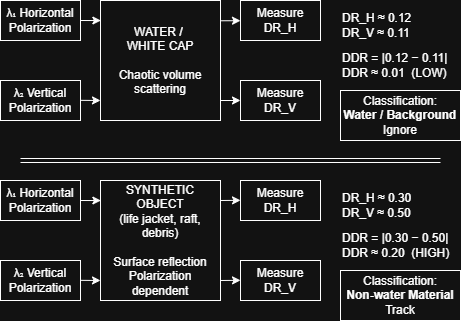 Differential Depolarization Response diagram showing DDR measurement under orthogonal H and V illumination
